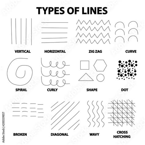 Type Of Lines In Art Stock Illustration Adobe Stock