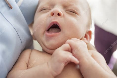 Close Up Of Newborn Baby Yawning Stock Image F0137193 Science
