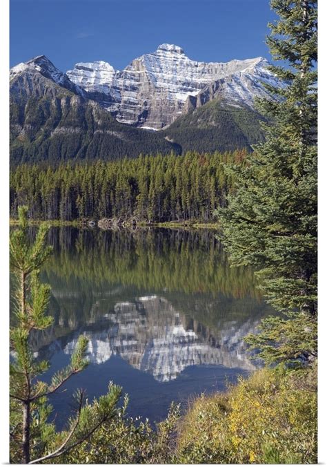 Reflection Of A Mountain In Herbert Lake Banff National