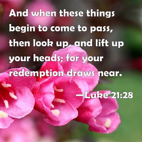 Luke 2128 And When These Things Begin To Come To Pass Then Look Up