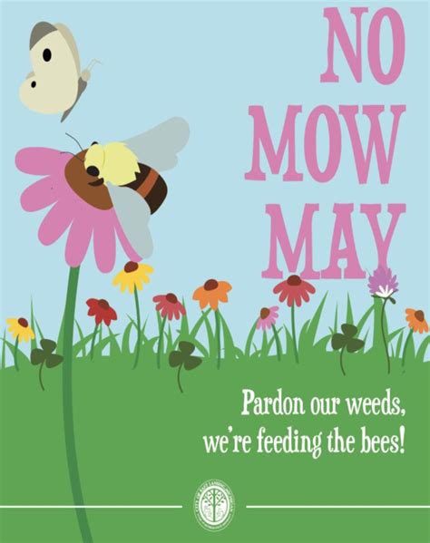 No Mow May Keeps Bees Busy Gives Residents A Rest From Lawn Care