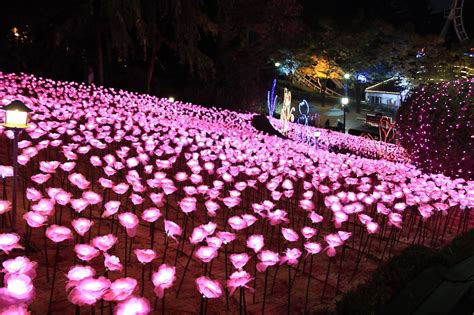 Fun And Free Daegu Travel Koreas Biggest Light Festival Eworlds