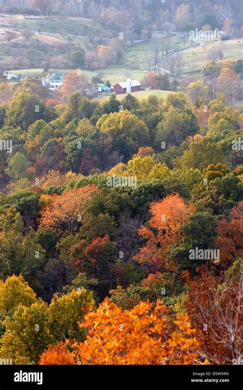 Shenandoah Valley Farm Blue Ridge Mountains Virginia Autumn Trees