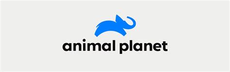Animal Planet New Logo