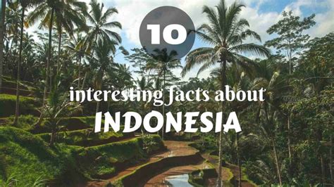 10 Interesting Facts About Indonesia Journey Beyond The Horizon