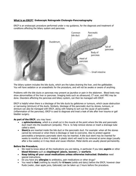 What Is An Ercp Endoscopic Retrograde Cholangio