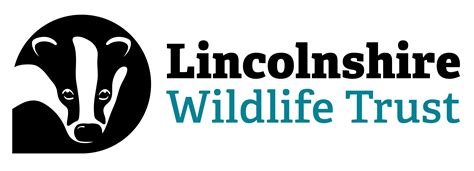 Talk Red Foxes Lincolnshire Wildlife Trust