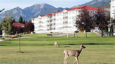 Fairmont Hot Springs Timeshare Sales & Rentals