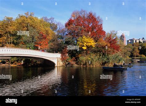 Central Park Bow Bridge Autumn Leaves The Ramble New York City Usa