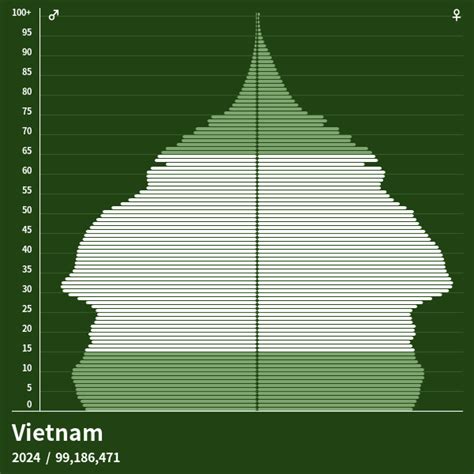 Population Pyramid Of Vietnam At 2023 Population Pyramids