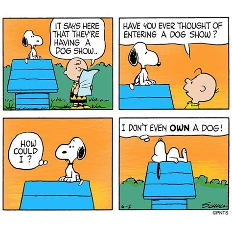 Pin By K On Smile Snoopy Comics Snoopy Love Peanuts Snoopy Comics