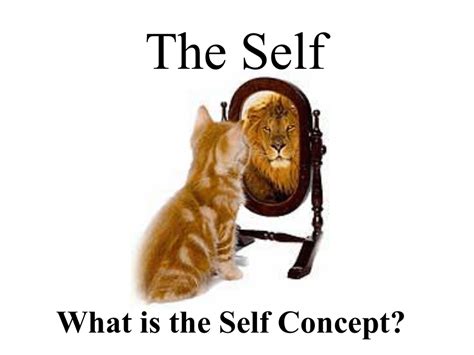 The Self What Is The Self Concept