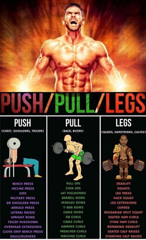 One Great Thing About The Push Pull Legs Program Is The Emphasis On