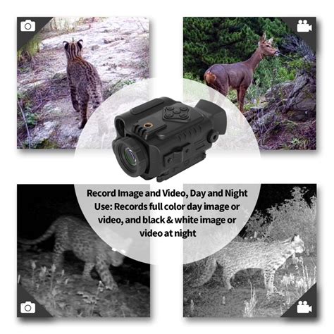 Multi Functional Nm M Best Night Vision Scope For Coyote Hunting