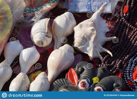 Shell Shankh The Instrument Of Indian Culture Stock Image Image Of