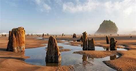 The Oregon Coast’s Most Surprising Places - Travel Oregon