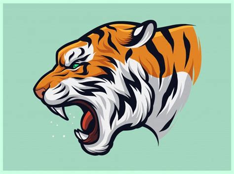 Premium Vector Angry Roaring Tiger Panthera Tigris Tiger