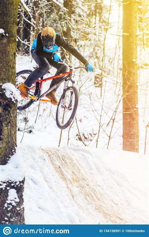 Mountain Biking In Snowy Forest Stock Image Image Of Departure Flies
