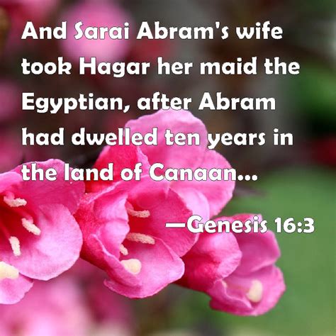 Genesis 163 And Sarai Abrams Wife Took Hagar Her Maid The Egyptian After Abram Had Dwelled