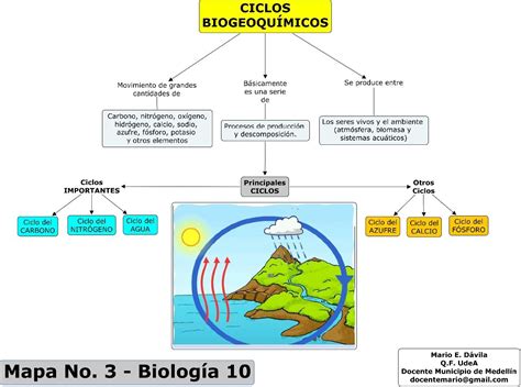 Mapa Conceptual De Ciclos Biogeoqu Micos Elau