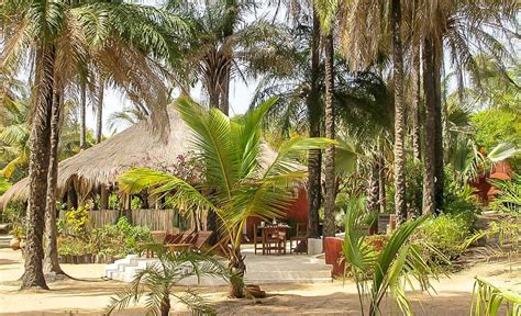 Discover The Tourist Attractions Of The Casamance Discover Senegal
