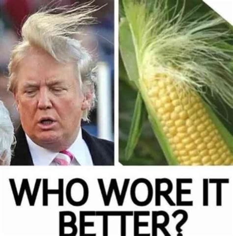 The 23 Best Donald Trump Memes Online That Ll Make You Laugh Bigly