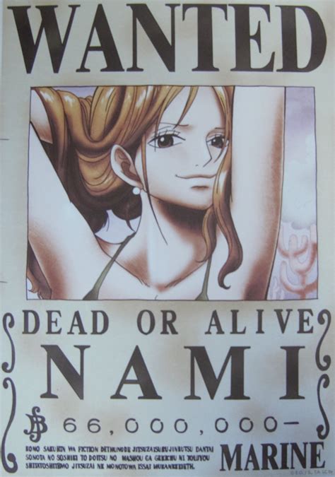 One Piece Wanted Poster Nami New World Walmart