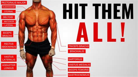 The Best Science Based Full Body Workout For Growth Workout “a
