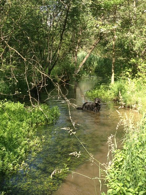 Der gleichnamige hauptort ist sitz der gemeindeverwaltung. Bildergalerie Impressionen Pension Waldfrieden Bad Füssing ...