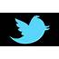 Twitter Bird Clip Art At Clkercom  Vector Online Royalty