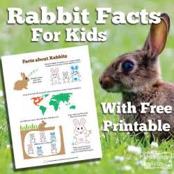 Rabbit Facts For Kids Rabbit Facts Facts For Kids Rabbit Lessons