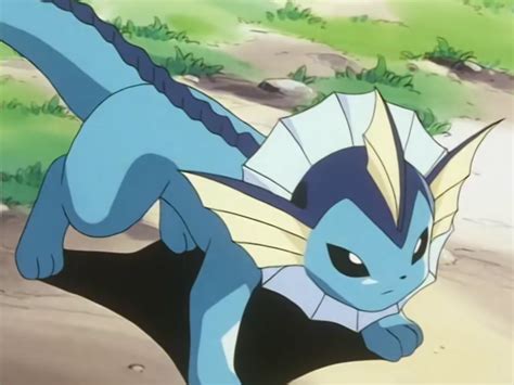 Sumomos Vaporeon Pokémon Wiki Fandom Powered By Wikia