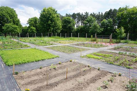 Community Garden Plots Inver Grove Heights Mn Official Website