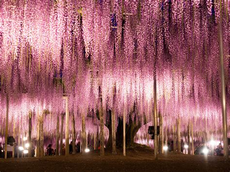 The 50 Most Beautiful Places In The World 2017 Photos Condé Nast