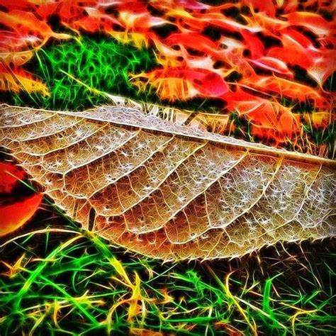 30 Extraordinary iPhone Photos of The Different Seasons
