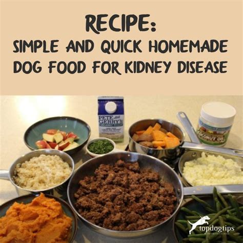Homemade Dog Food For Kidney Disease Recipe Video Quick Simple