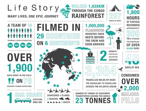 Life Story Infographic Many Lives One Epic Journey Extras Life