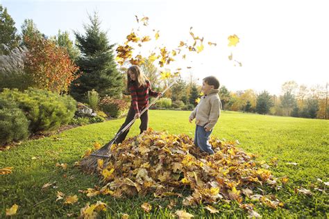 6 Tips To Prepare Your Yard For Winter