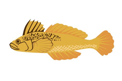 Free Fish Svg Cut File | Free SVG Cut Files. Create your DIY projects