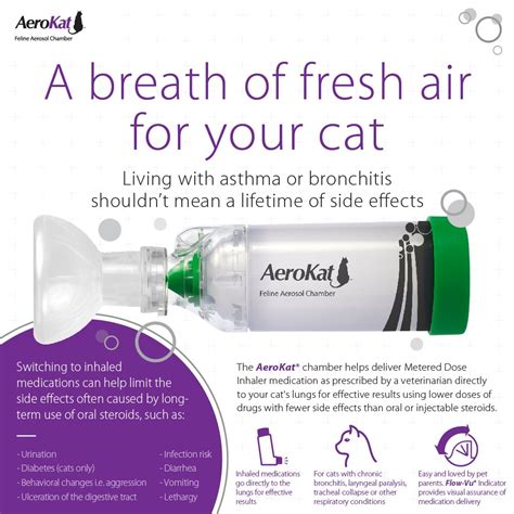 Justine lee, veterinary specialist, demonstrates how to use the. AEROKAT Cat Asthma Aerosol Chamber - Easy to Use Inhaler ...