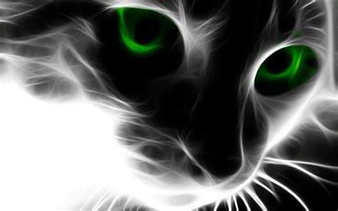 Here you can find the best 3d cat wallpapers uploaded by our community. 49+ 3D Cat Wallpaper on WallpaperSafari