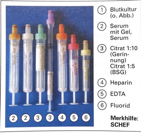 Venöse Blutentnahme Karteikarten Quizlet