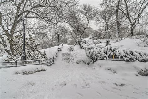 Winter Storm Central Park New York City Stock Photo Image Of