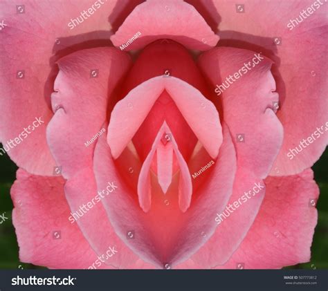 Sex Pussy Vulva Clitoris Vagina Orgasm Stock Photo Edit Now 507773812