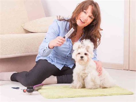 Tips For Grooming Your Dogs Coat Skin Nails And Teeth At Home