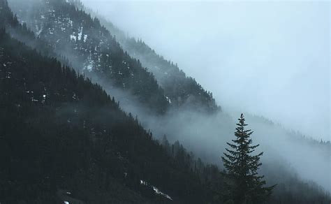 Hd Wallpaper Black Foggy Mountain During Daytime Autumn Landscape