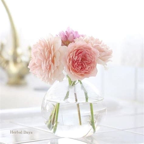 Happiness Blooms From Within 🌸🌿 📷herbaldays Glass Vase Bloom Decor