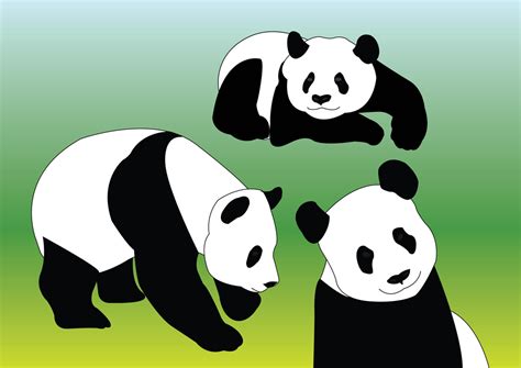 Panda Vectors Vector Art And Graphics