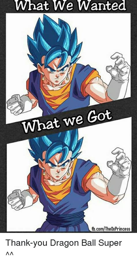 Dragon ball xenoverse is an rpg video game based on a very widely popular dragon ball franchise. What We Wanted What We Got fbcomThe0xPrincess Thank-You Dragon Ball Super ^^ | Meme on ME.ME