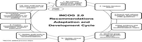 Incog 20 Guidelines For Cognitive Rehabilitation Following The